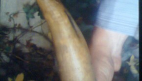 photo_2